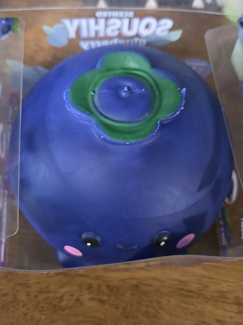 Jumbo Blueberry Squishy Toy